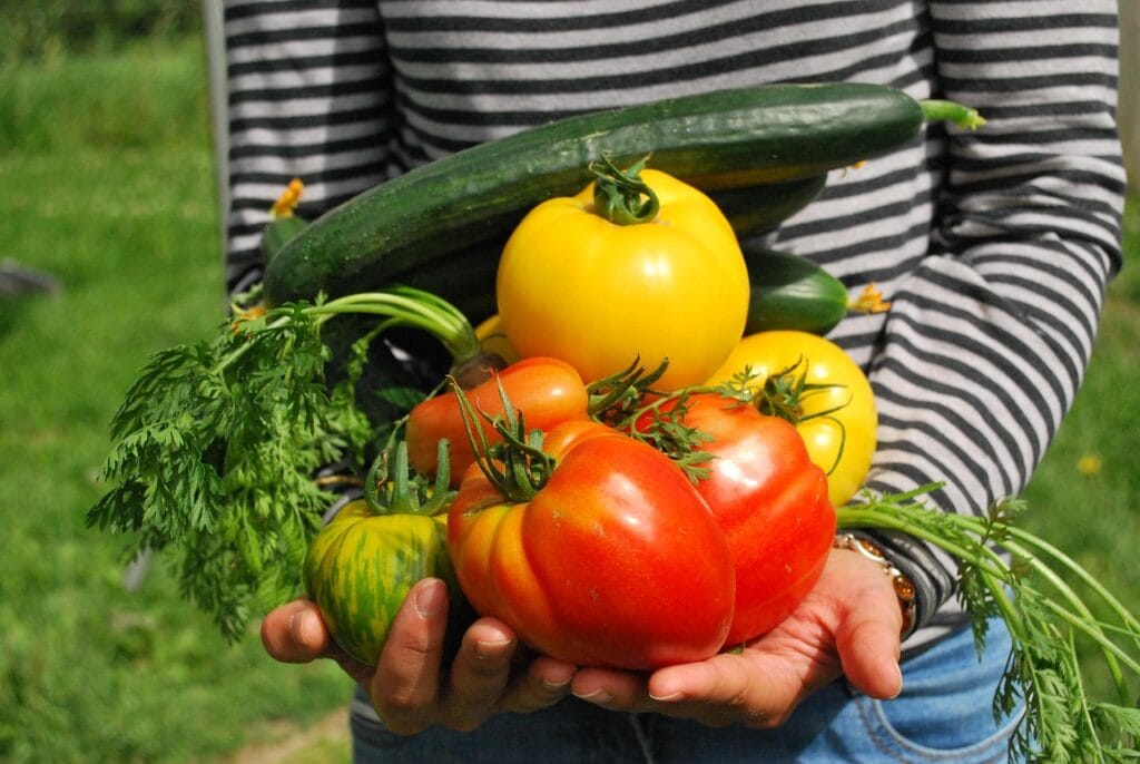 Harvest from digital organic gardening